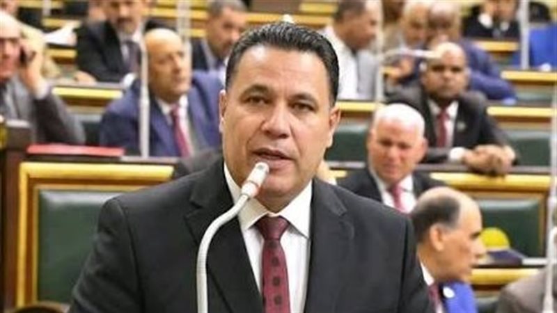 النائب عماد الغنيمي