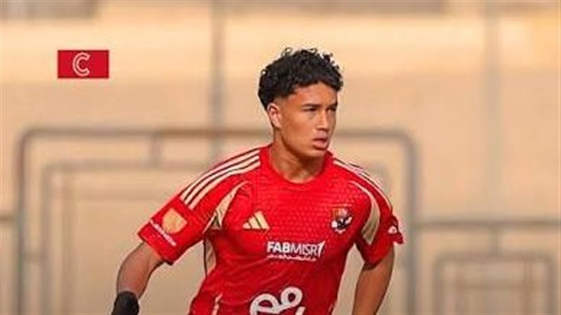 حمزة الدجوي