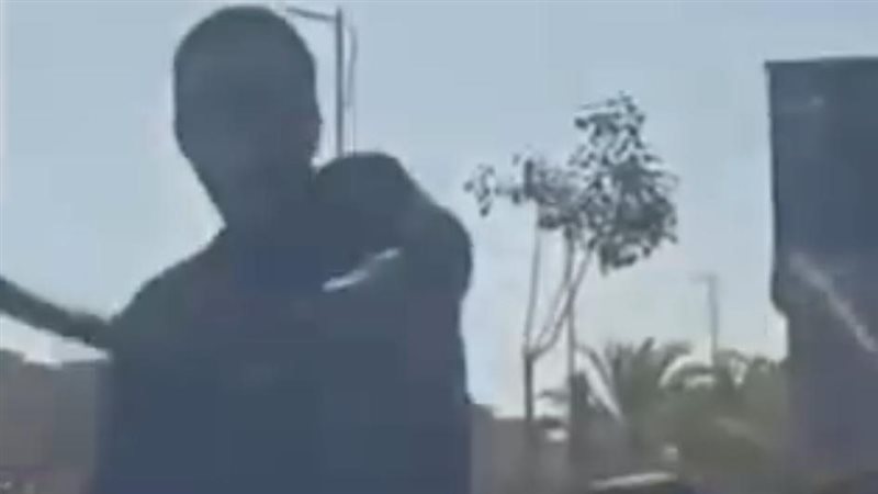 سائق الميكروباص 