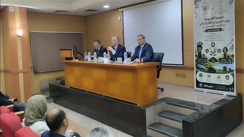 جانب من الورشة التدريبية