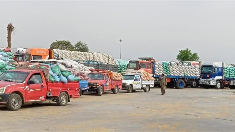 استمرار أعمال توريد
