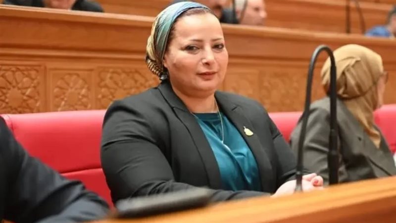 النائبة مروة حسان
