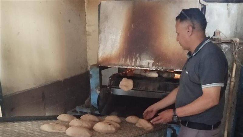 تموين الإسماعيلية