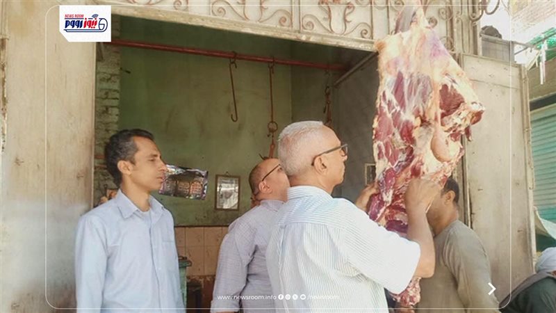 حملات تفتيشية بالمنيا
