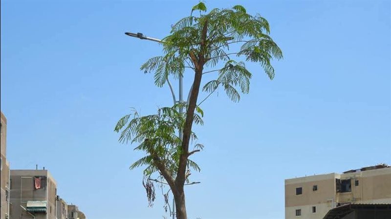 جانب من الجولة التفقدية