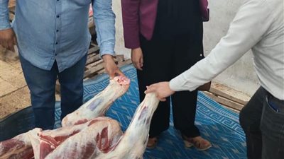 ضبط عجل بقري مذبوح خارج المجازر الحكومية داخل مخزن بدمنهور
