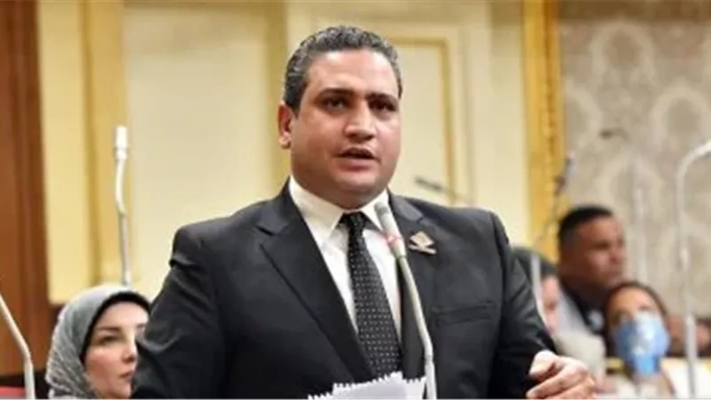 النائب عماد خليل