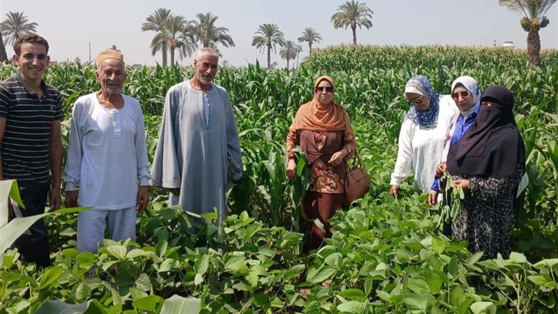 جانب من الزيارات