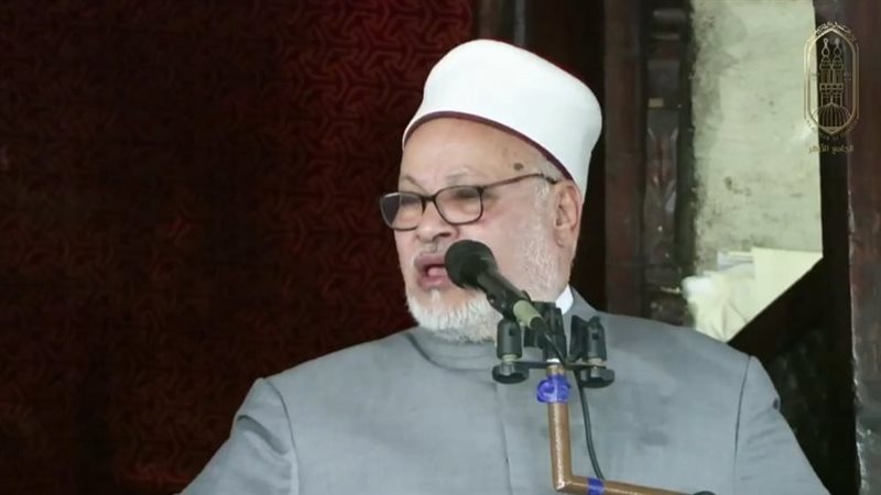 الدكتور إبراهيم الهدهد