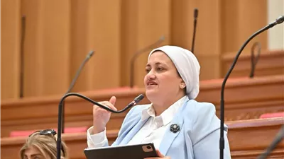 برلمانية: مليارات أُنفقت على وحدات «حياة كريمة» والمواطن لا يجد الخدمة الصحية