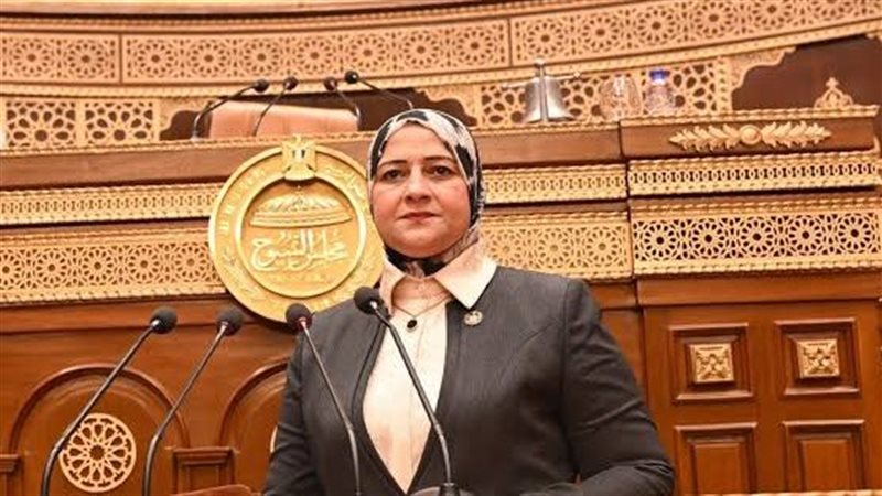 النائبة مروة قنصوه