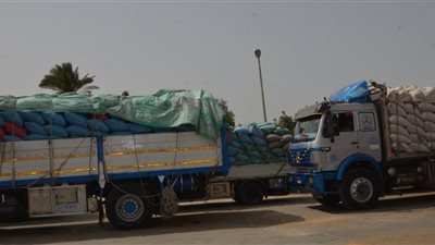 مواقع بنى سويف تستلم 352 ألف طن قمح منذ بداية موسم الحصاد والتوريد