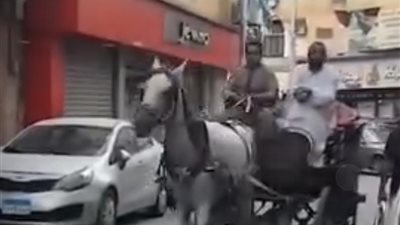 الحنطور يجذب السائحين ويعيد سحر الماضي بشوارع الأقصر