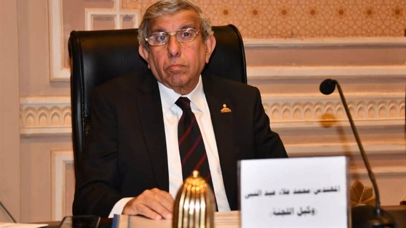 النائب علاء عبدالنبي،