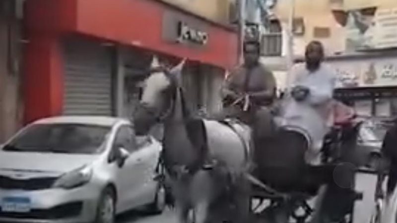 جولة بالحنطور