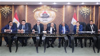 نقابة المحامين تبحث نطاق تطبيق القانون رقم 164 لسنة 2025 
