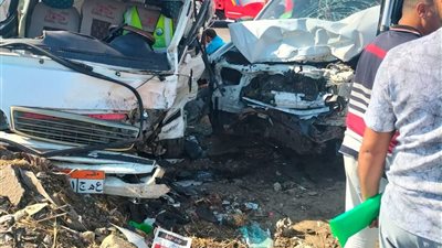إصابة 8 أشخاص في تصادم ميكروباص ونصف نقل بطريق قطور – الشين بالغربية