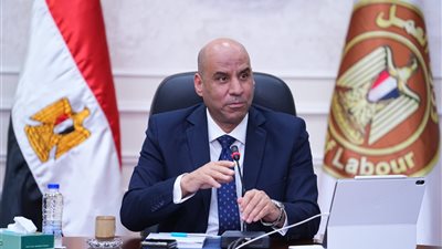 بتوجيهات الوزير رداد.. مديريات العمل بالمحافظات تواصل جهود التشغيل والتدريب