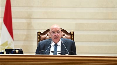 مجلس النواب يوافق على المادة 32 من قانون إعادة تنظيم جهاز تنظيم مستقبل مصر