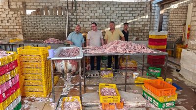 ضبط 60 طنًا من مقطعات الدواجن والمخللات غير الصالحة للاستهلاك الآدمي بالجيزة