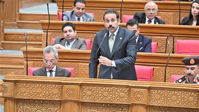 مجلس النواب يوافق على المادة 42 من قانون جهاز مستقبل مصر