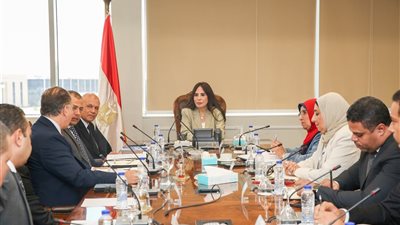 «الإسكان» تبحث مع «باماغ» الألمانية تعزيز التعاون بمشروعات المياه والصرف