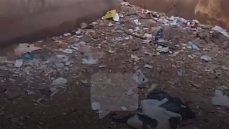 تراكم القمامة بين