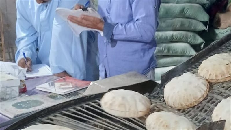 جانب من الحملة 