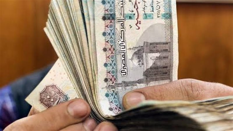 ارشيفية 