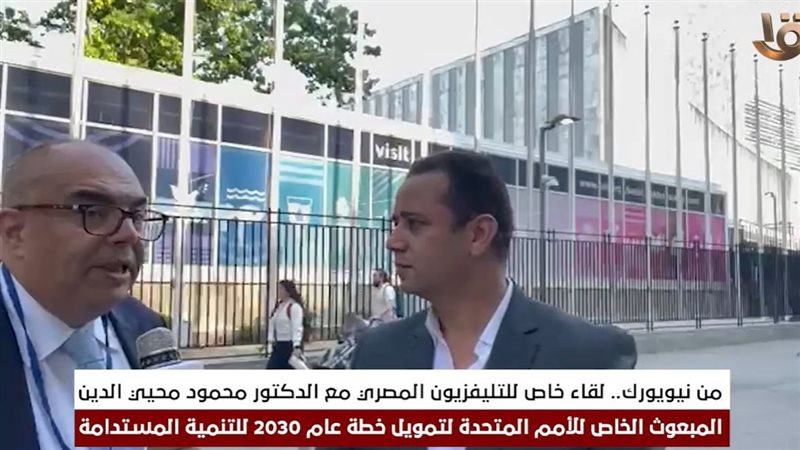 الدكتور محمود محيي
