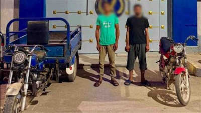 ضبط عاطلين سرقا تروسيكل من أمام منزل صاحبه في بني سويف