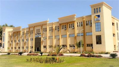 أمين المجلس الأعلى للتعليم التكنولوجي: الجامعات التكنولوجية تنقل التعليم للعمل