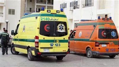 مصرع شقيقين طفلين غرقاً إثر سقوط 