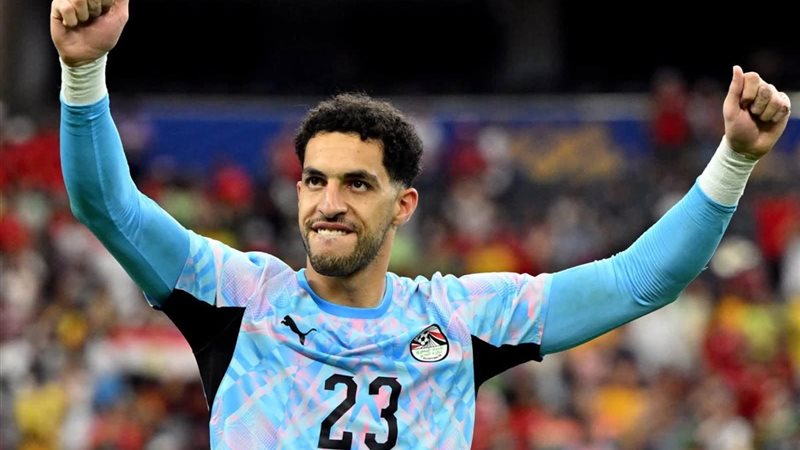 مصطفى شوبير