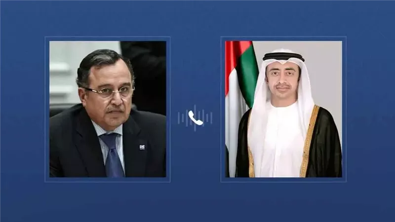 وزير الخارجية الإماراتي ونبيل فهمي 