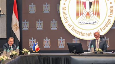 محمد فريد يبحث مع الشركات الفرنسية تذليل عقبات الاستثمار والتوسّع بمصر