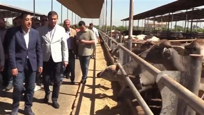 مدبولي في جولة موسعة بالمنوفية والعلمين لدعم مشروعات الأمن الغذائي والسياحة