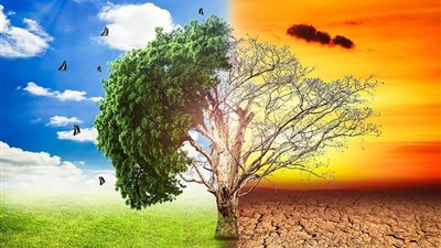 المركزي للإحصاء يصدر نشرة البيئة وتغير المناخ السنوية