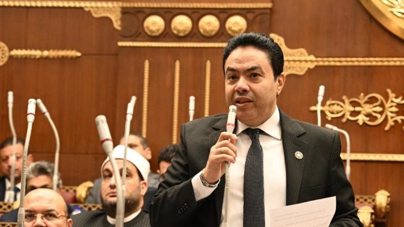 النائب إسماعيل الشرقاوي