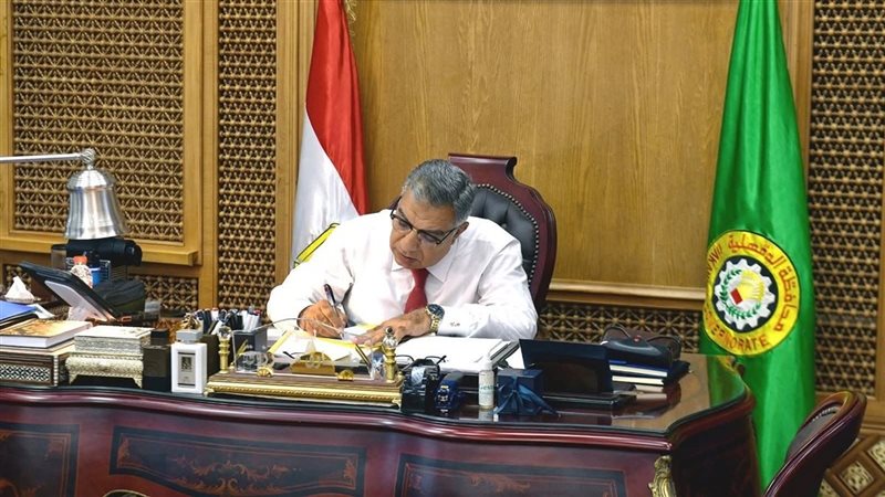 محافظ الدقهلية
