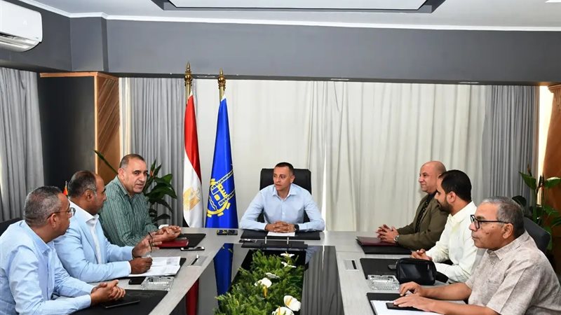 محافظ أسوان
