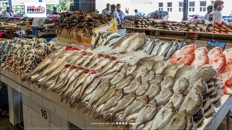 أسعار السمك اليوم