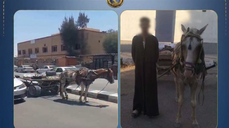 المتهم 