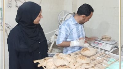 تحرير 26 محضر لمخالفات وحيازة سلع بدون فواتير بمسطا وناصر بنى سويف