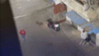 حقيقة فيديو اتهام مالك مقهى بالبلطجة على أسرة في الإسكندرية