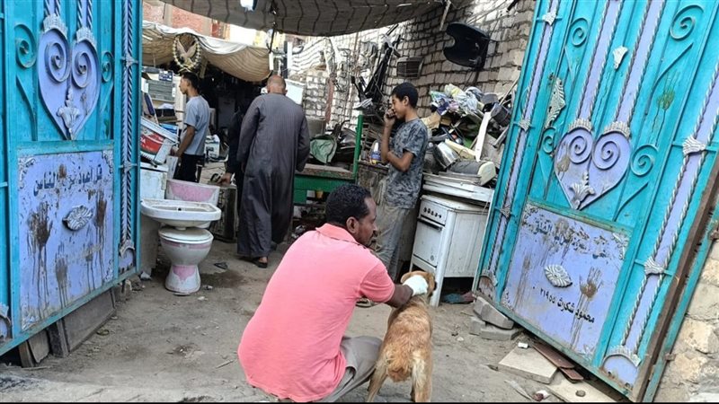بيطري قنا 