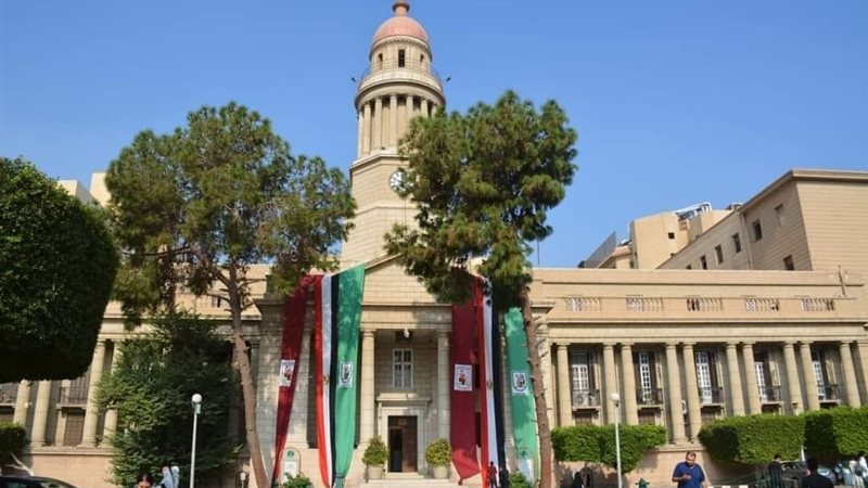 القصر العيني