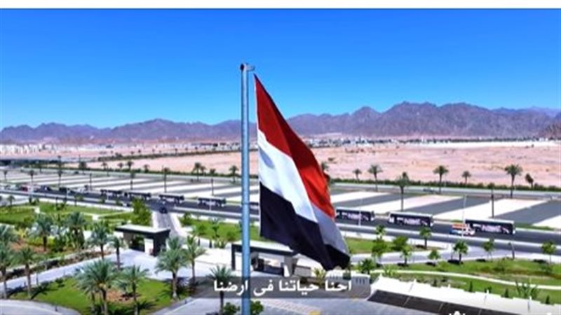 سيناء 