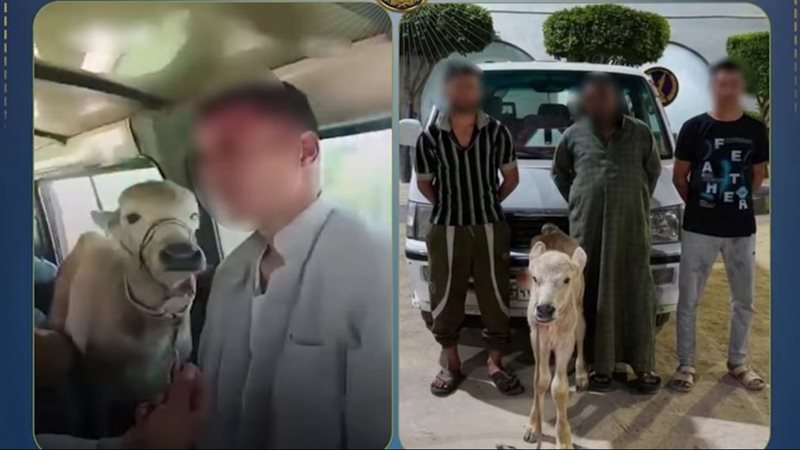المتهمين والعجلة