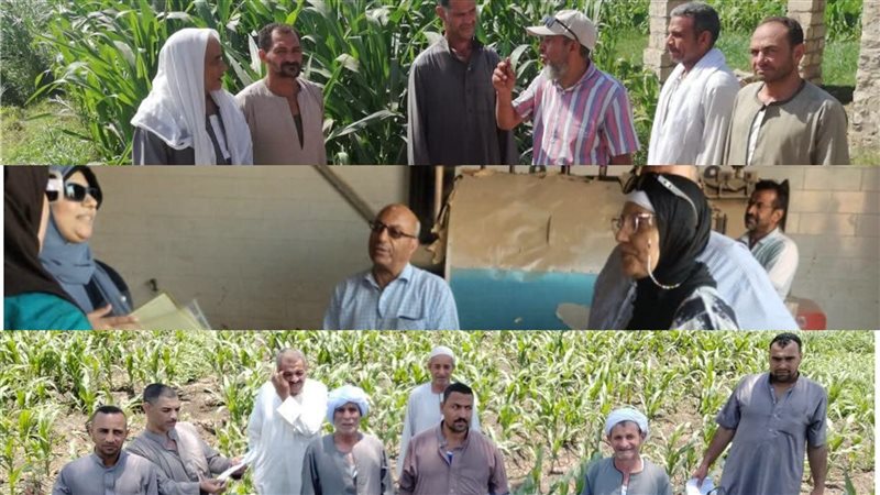 جانب من أنشطة وفعاليات